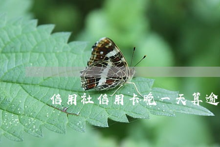 信用社信用卡晚一天算逾期吗