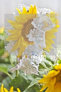 信用社信用卡逾期一周