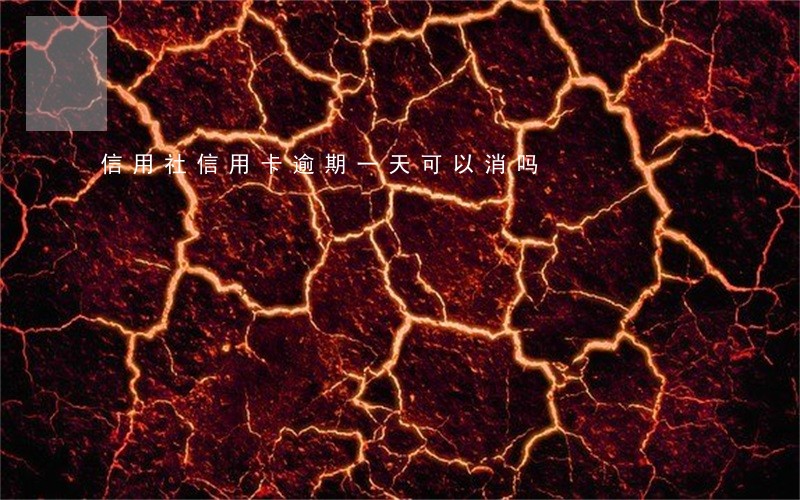 信用社信用卡逾期一天可以消吗
