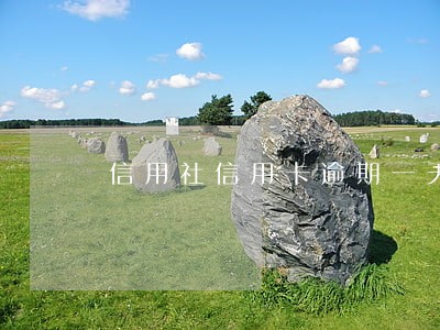 信用社信用卡逾期一天就上征信