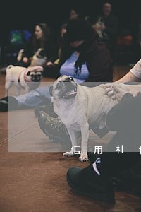 信用社信用卡逾期还不上会怎么样