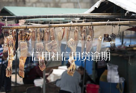 信用社信用贷逾期 信用社信用贷逾期