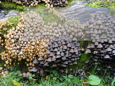 信用社信誉贷逾期六天还能贷不 信用社信誉贷逾期六天还能贷不