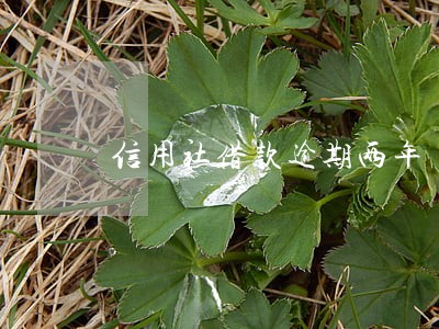 信用社借款逾期两年 信用社借款逾期两年