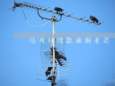 信用社借款逾期未还