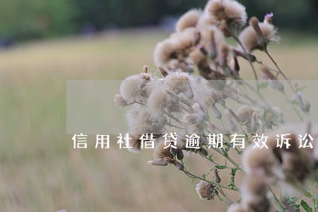 信用社借贷逾期有效诉讼时效 信用社借贷逾期有效诉讼时效
