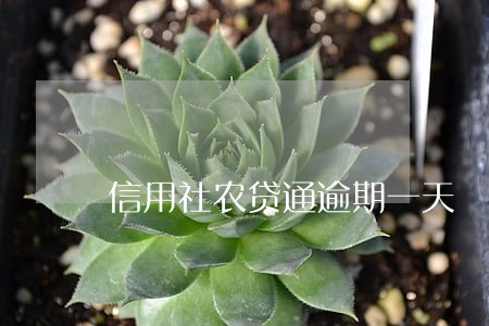 信用社农贷通逾期一天 信用社农贷通逾期一天