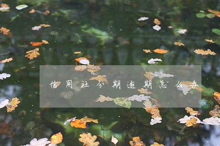 信用社分期逾期怎么办 信用社分期逾期怎么办