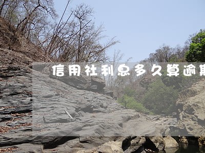 信用社利息多久算逾期 信用社利息多久算逾期