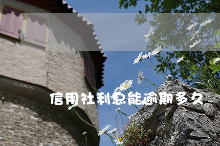 信用社利息能逾期多久 信用社利息能逾期多久