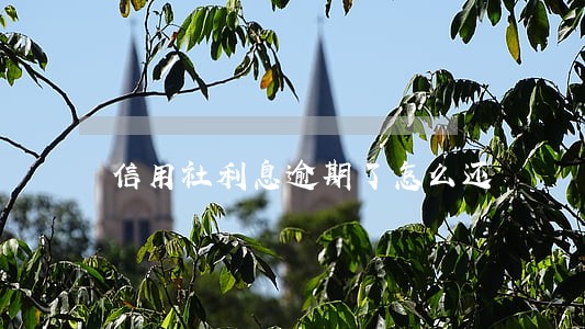 信用社利息逾期了怎么还