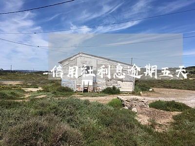 信用社利息逾期五天 信用社利息逾期五天