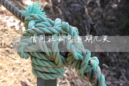 信用社利息逾期几天 信用社利息逾期几天