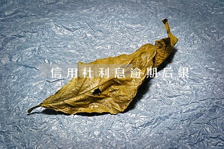 信用社利息逾期后果 信用社利息逾期后果