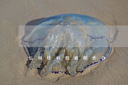 信用社利息逾期咋办