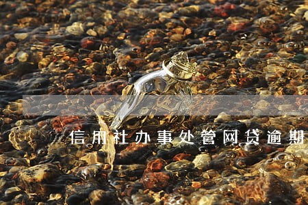信用社办事处管网贷逾期吗