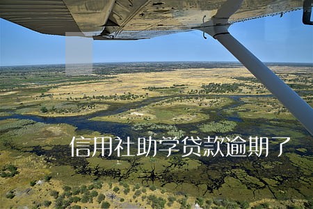 信用社助学贷款逾期了