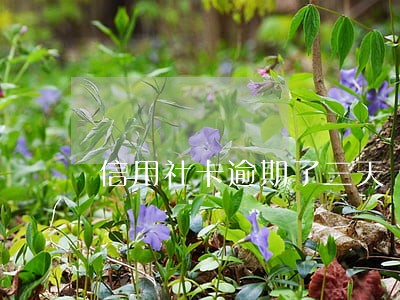 信用社卡逾期了三天 信用社卡逾期了三天