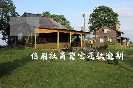 信用社商贷宝还款逾期 信用社商贷宝还款逾期
