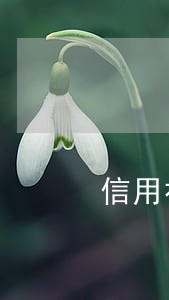 信用社商贷宝还款逾期多长时间