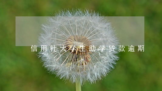 信用社大学生助学贷款逾期 信用社大学生助学贷款逾期