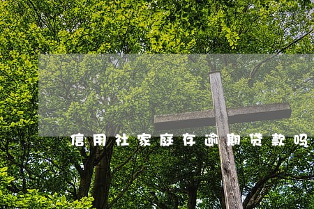 信用社家庭存逾期贷款吗 信用社家庭存逾期贷款吗
