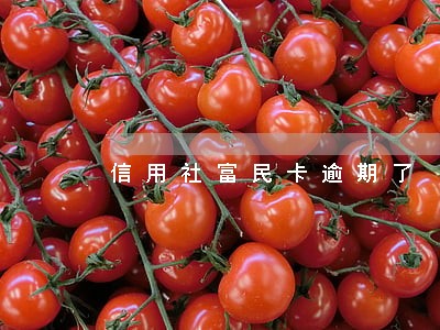 信用社富民卡逾期了