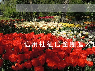 信用社征信逾期怎么查询
