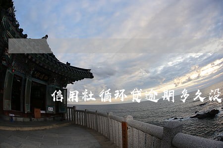 信用社循环贷逾期多久没事