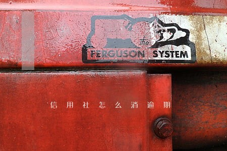 信用社怎么消逾期 信用社怎么消逾期