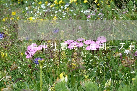 信用社惠民卡逾期一天有关系吗 信用社惠民卡逾期一天有关系吗