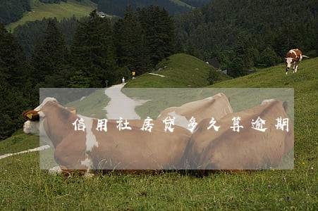 信用社房贷多久算逾期 信用社房贷多久算逾期