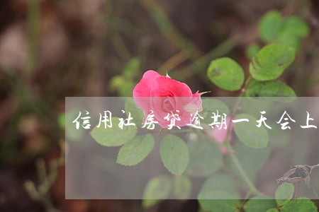 信用社房贷逾期一天会上征信 信用社房贷逾期一天会上征信