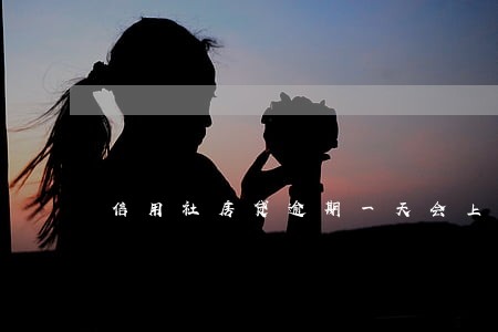 信用社房贷逾期一天会上征信吗