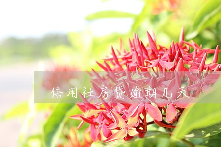 信用社房贷逾期几天 信用社房贷逾期几天