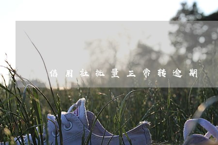 信用社批量正常转逾期