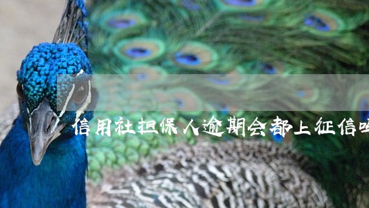 信用社担保人逾期会都上征信吗 信用社担保人逾期会都上征信吗