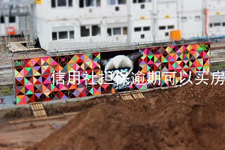 信用社担保逾期可以买房吗 信用社担保逾期可以买房吗