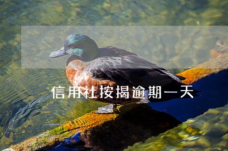 信用社按揭逾期一天 信用社按揭逾期一天