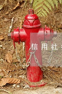 信用社按日贷能逾期一天么 信用社按日贷能逾期一天么