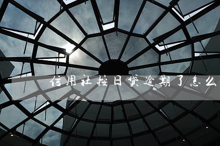 信用社按日贷逾期了怎么自助还款 信用社按日贷逾期了怎么自助还款
