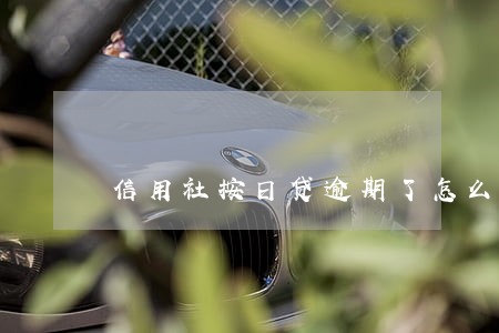 信用社按日贷逾期了怎么还款 信用社按日贷逾期了怎么还款