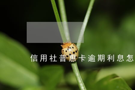 信用社普惠卡逾期利息怎么那么高 信用社普惠卡逾期利息怎么那么高