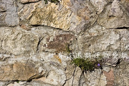 信用社有过逾期还能贷款吗 信用社有过逾期还能贷款吗