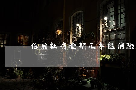 信用社有逾期几年能消除 信用社有逾期几年能消除