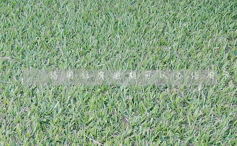 信用社有逾期可以办信用卡么 信用社有逾期可以办信用卡么