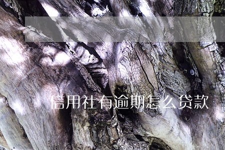 信用社有逾期怎么贷款 信用社有逾期怎么贷款
