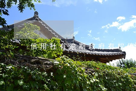 信用社有逾期政府有权停职吗