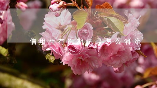 信用社有逾期记录怎么消除 信用社有逾期记录怎么消除
