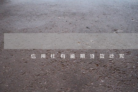 信用社有逾期贷款还完 信用社有逾期贷款还完